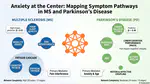 Directional Symptom Dependencies in MS & Parkinson's Disease Dashboard
